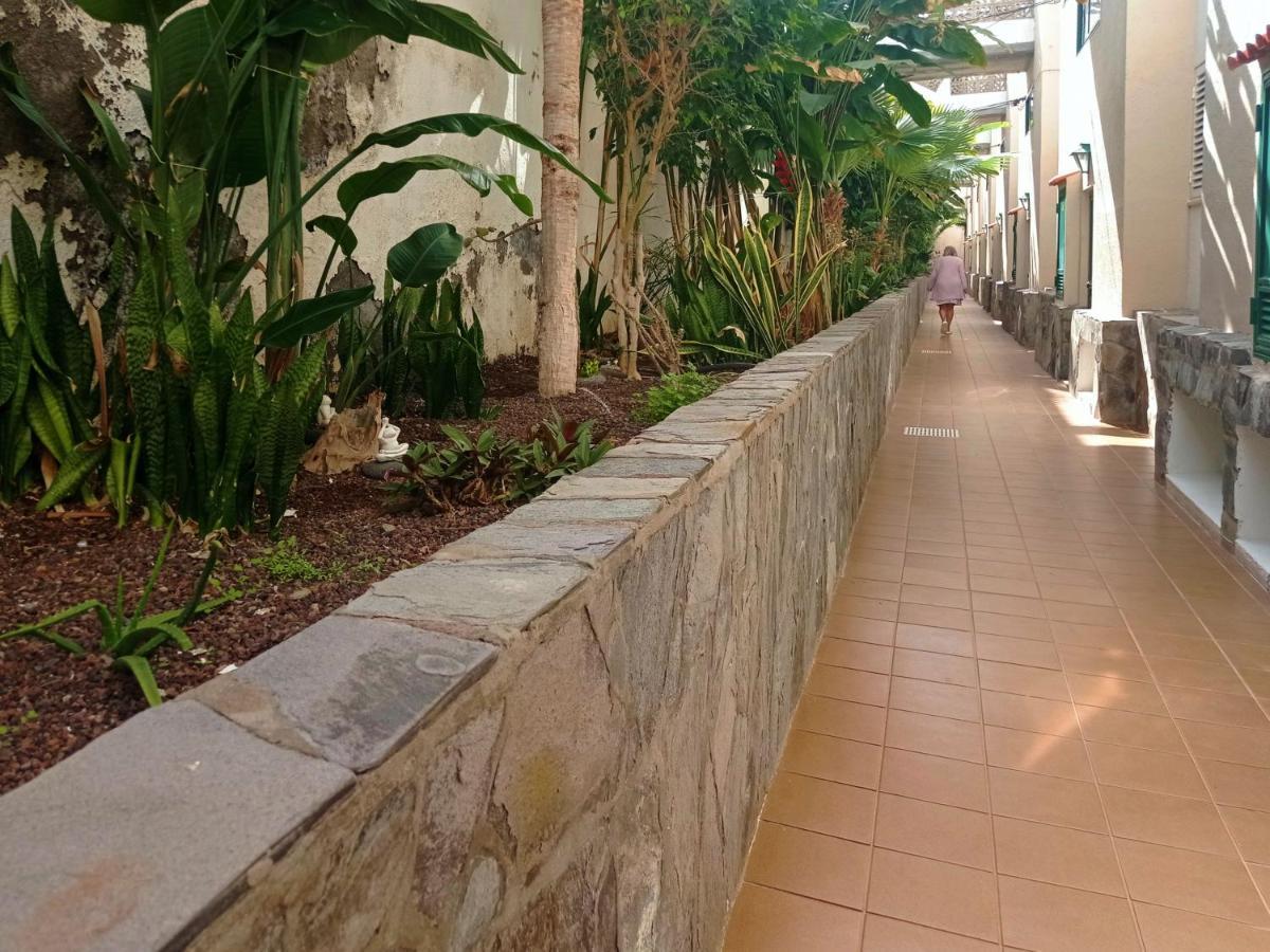 Live Puerto Santiago Europa Apartment Puerto de Santiago  Bagian luar foto